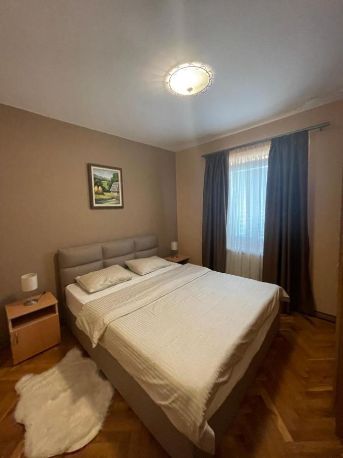 Apartment Silver Snowflake - Sa Dvoristem Zlatibor