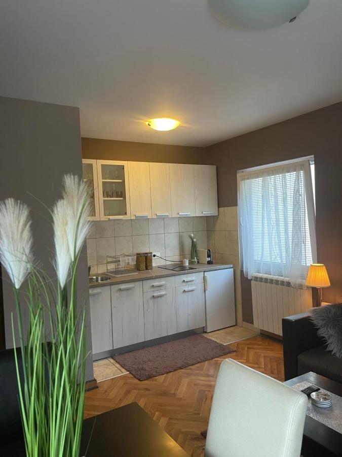 Apartment Silver Snowflake - Sa Dvoristem *